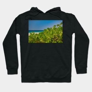 Beautiful tropical beach scenery Hoodie